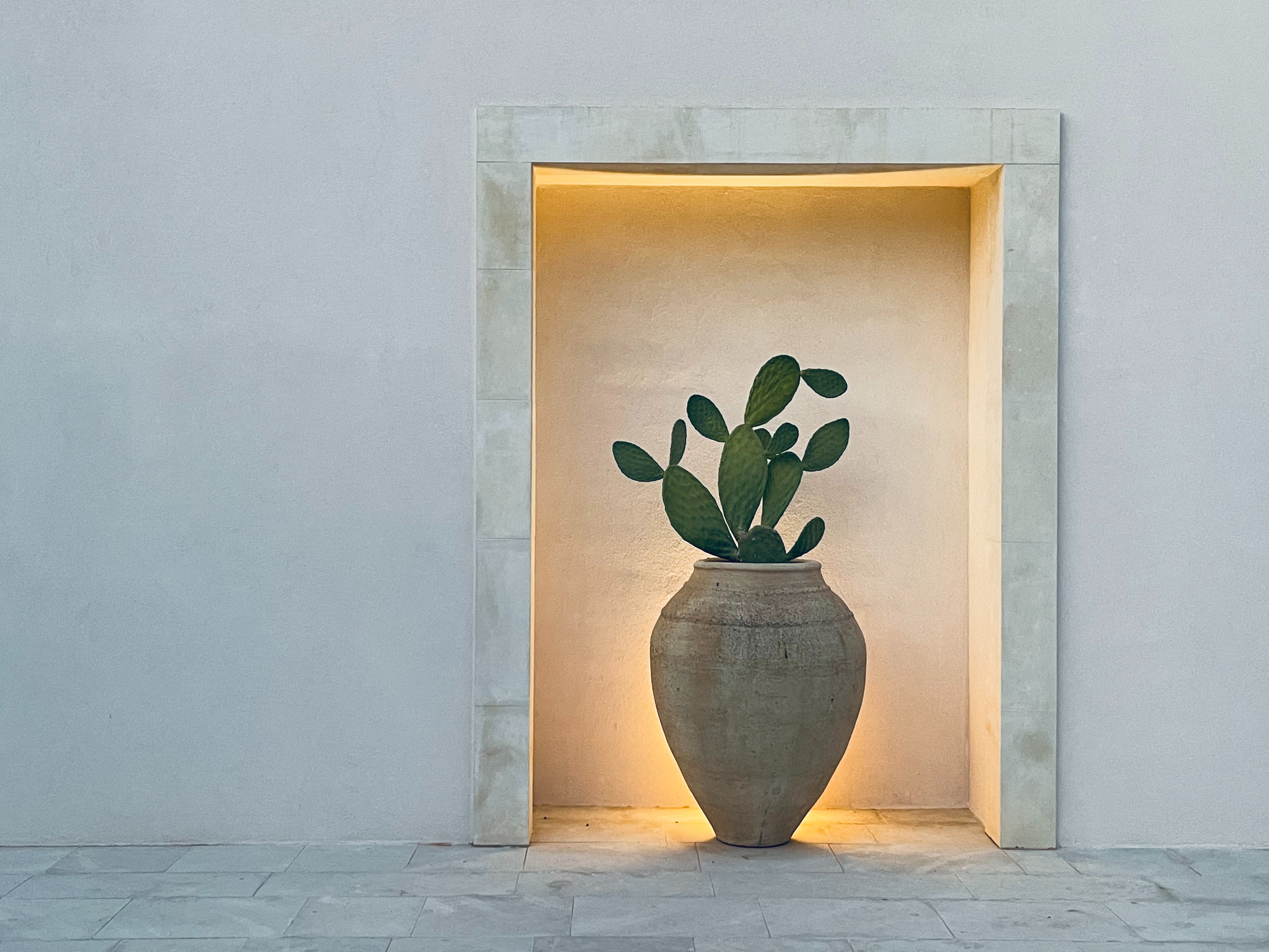 the white lotus noto