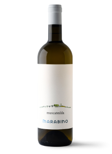 Muscatedda Marabino wine