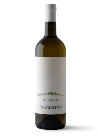 Muscatedda wine delivery