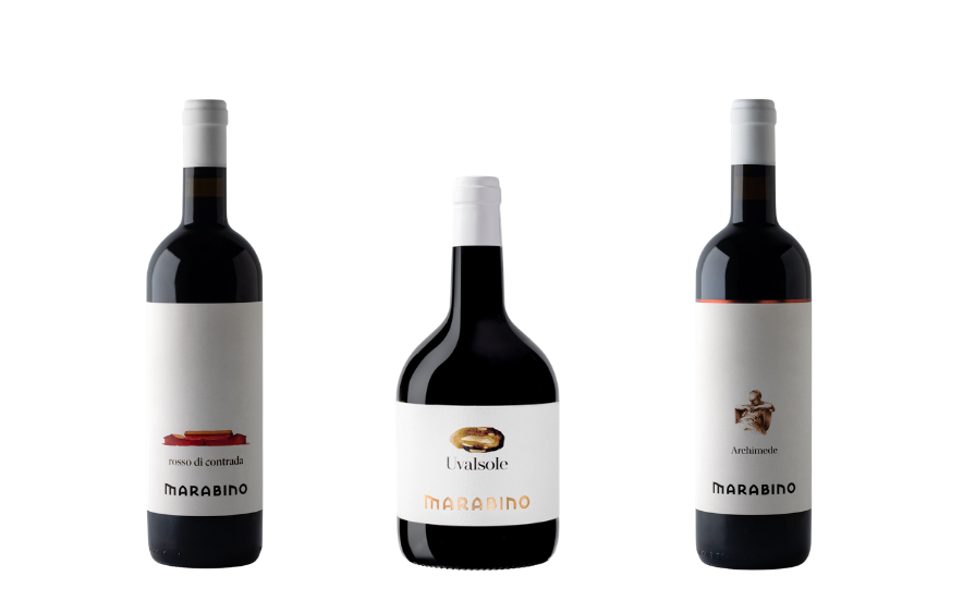Taste Sicilian wines in villa with IsulaTravel