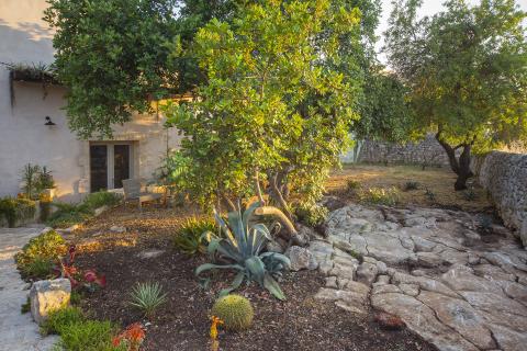 Casa Ruah