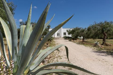 Villa Rosa 58