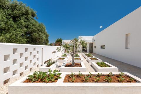 Borgo Verde 12