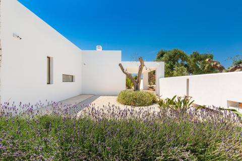 Borgo Verde 35