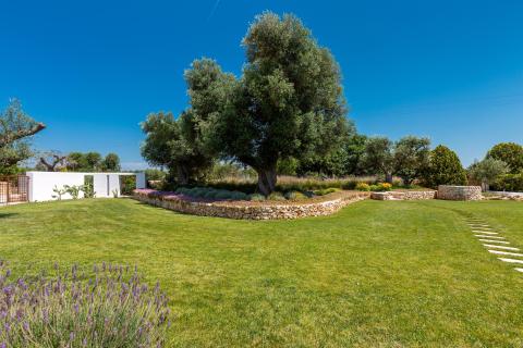 Borgo Verde 37