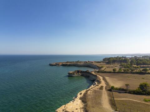 Villa Calamare 43